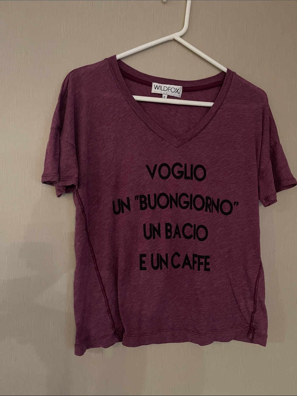 Wildfox small oversized Plum Graphic V-Neck Tee with Italian Text